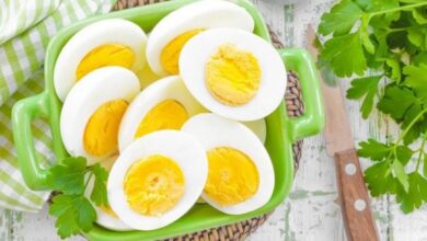 Photo of Польза яиц — употребление большего количества яиц может помочь защититься от остеопороза