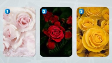 Photo of Тест на тип личности — выберите розу, которая нравится больше всего