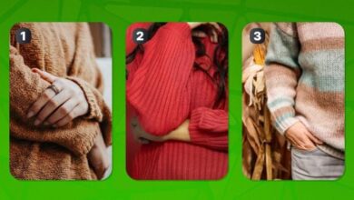 Photo of Тест на тип личности — выберите свитер и узнайте, циник вы или идеалист