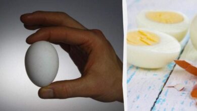 Photo of Получился желток зеленый — почему это так, и как приготовить яйцо вкрутую правильно