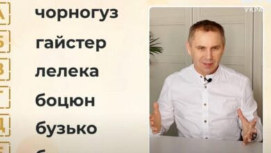 Photo of Авраменко рассказал — как называть аиста в Украине — видео