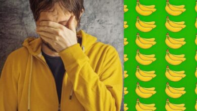 Photo of Следует найти странную ветку бананов за 7 секунд
